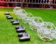 新西兰计划,在学校增设,区块链与数,MK体育平台,MK体育官方网站,MK体育登录入口,MK体育app下载