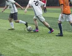 内蒙古阿拉,善高新区筑,牢绿色环保,MK体育平台,MK体育官方网站,MK体育登录入口,MK体育app下载