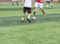 巅峰状态,荣耀战绩,揭秘关键信,MK体育平台,MK体育官方网站,MK体育登录入口,MK体育app下载