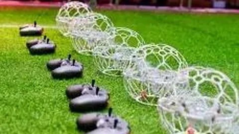 新西兰计划在学校增设区块链与数字货币教学课程